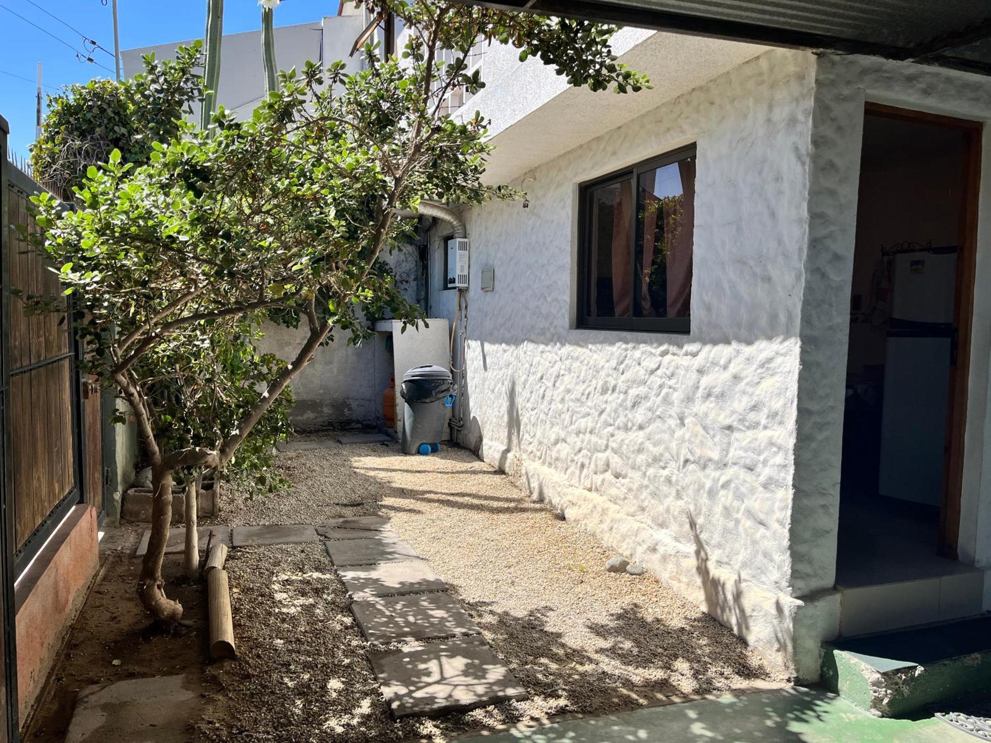 Casa Colibri - Casa de férias Tongoy